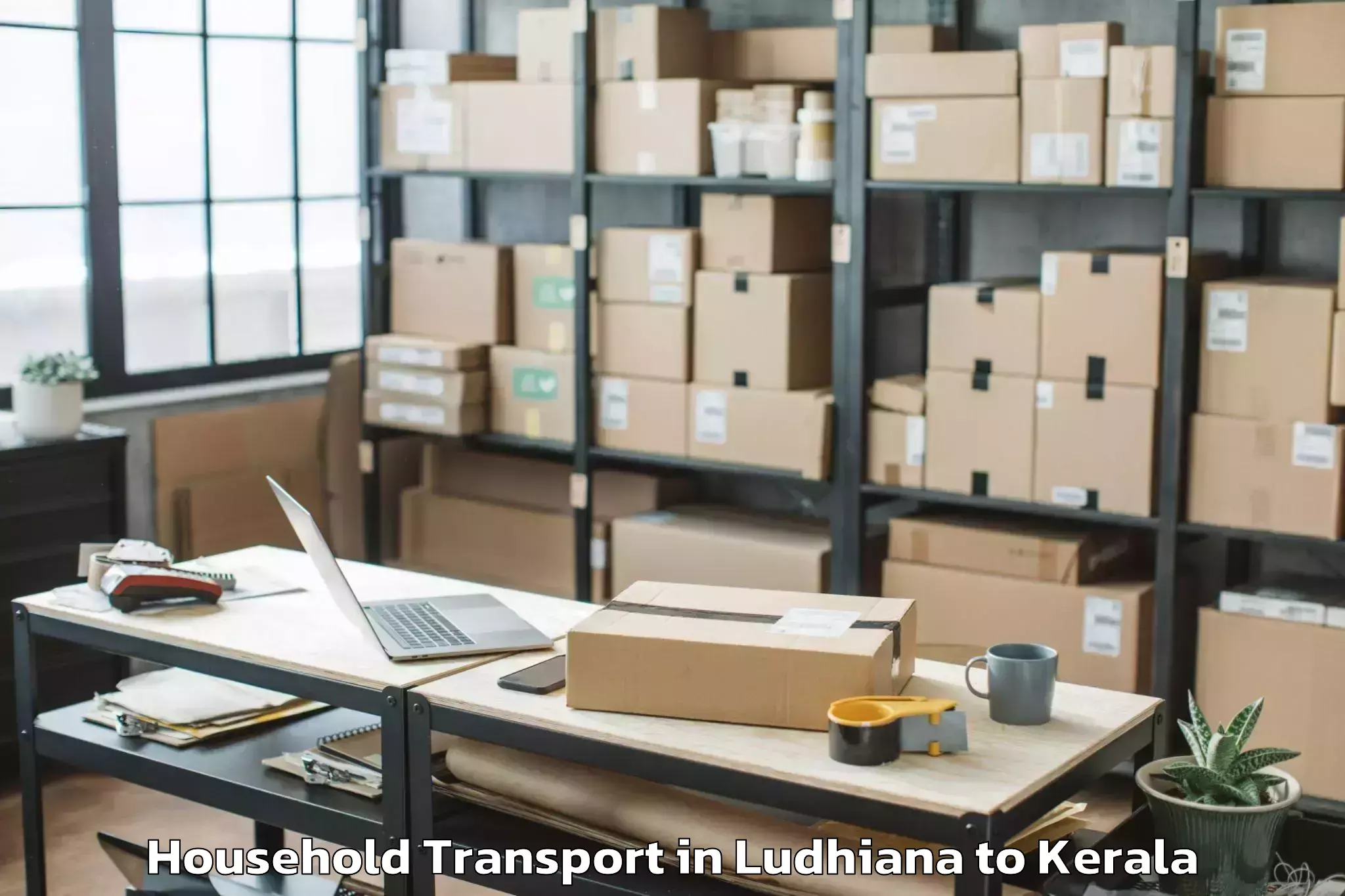 Reliable Ludhiana to Punalur Household Transport